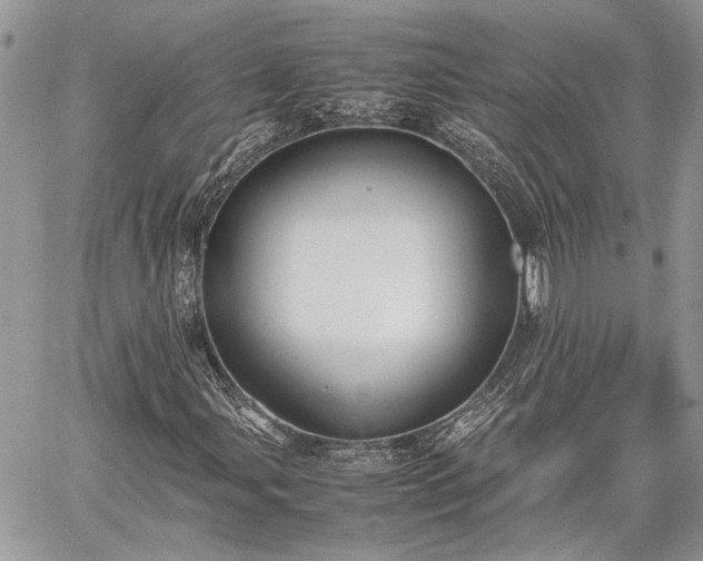 X0000059781107200510241251