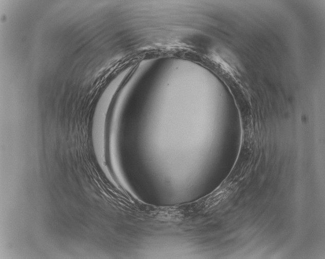 X0000059781110200510241251