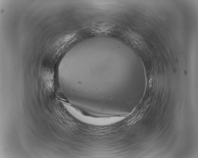 X0000059781156200510241251