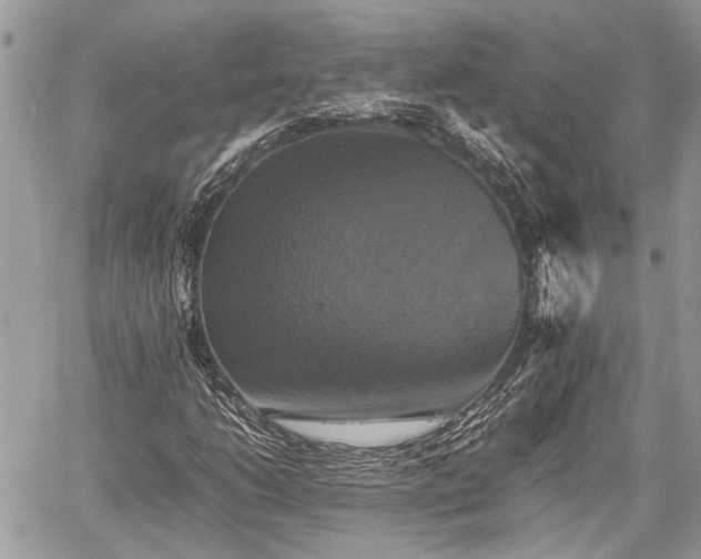 X0000059781206200510241249