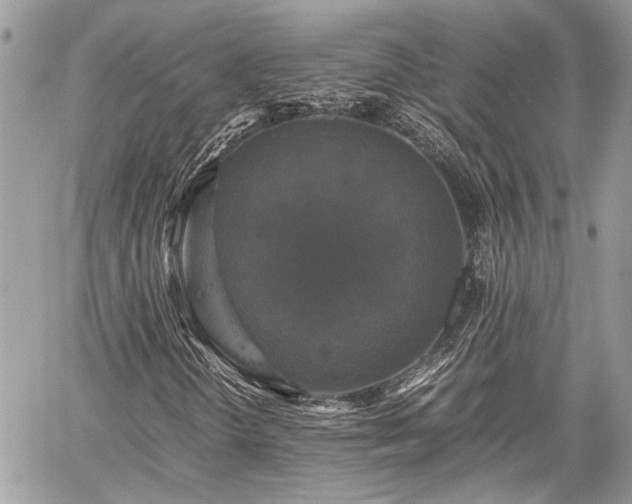 X0000059781298200510241248