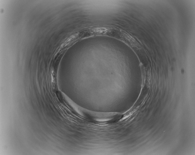 X0000059781394200510241246