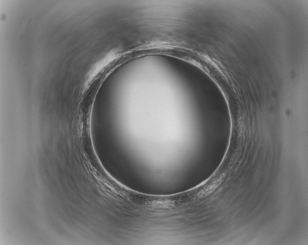 X0000059781406200510241246