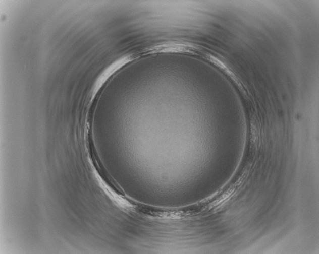 X0000059781426200510241247