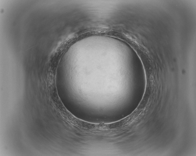 X0000059781447200510241246