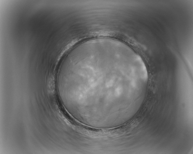 X0000059780012200510281558