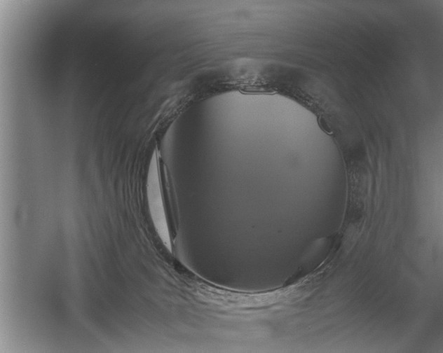 X0000059780035200510281558