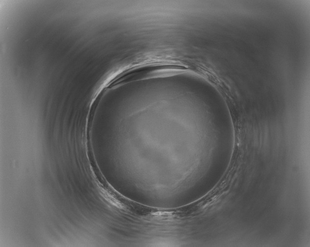X0000059780052200510281557