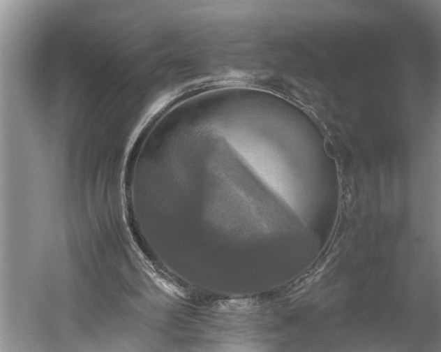 X0000059780102200510281557