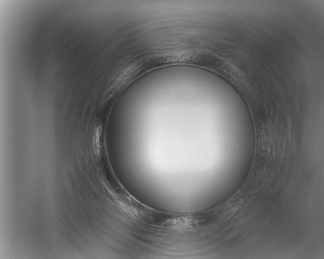 X0000059780118200510281556