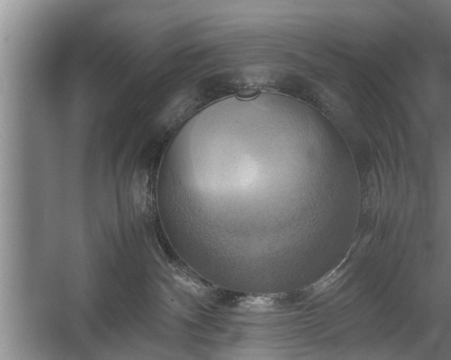 X0000059780140200510281556