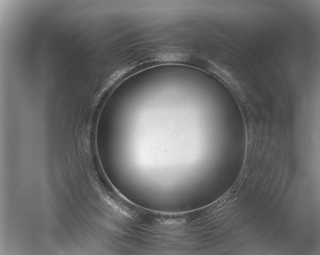 X0000059780155200510281555
