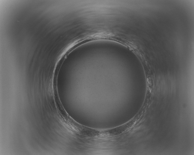 X0000059780196200510281555