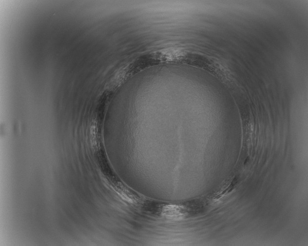 X0000059780222200510281555