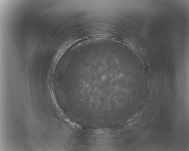 X0000059780241200510281553