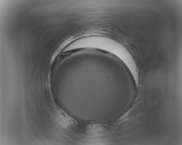 X0000059780244200510281554