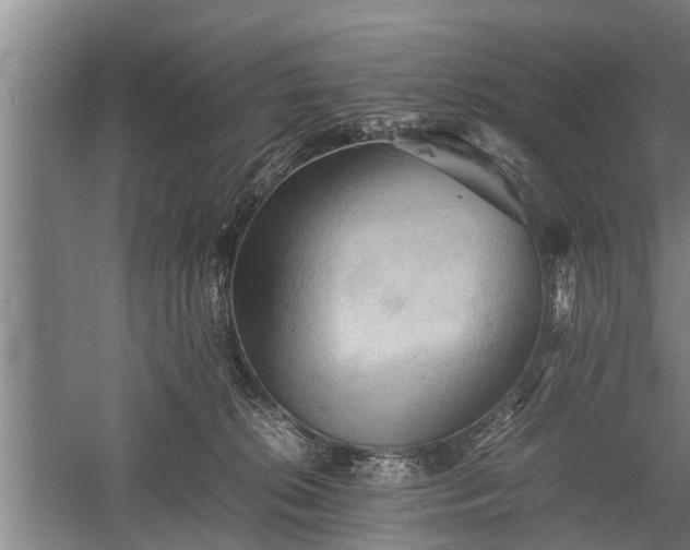 X0000059780276200510281554