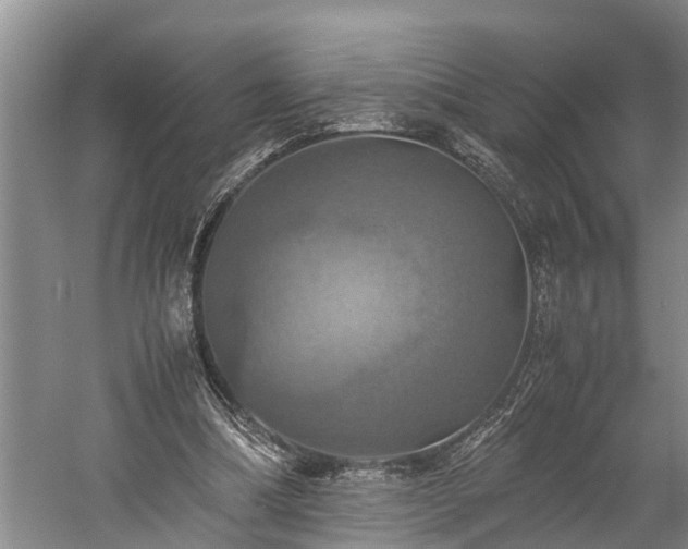 X0000059780298200510281553