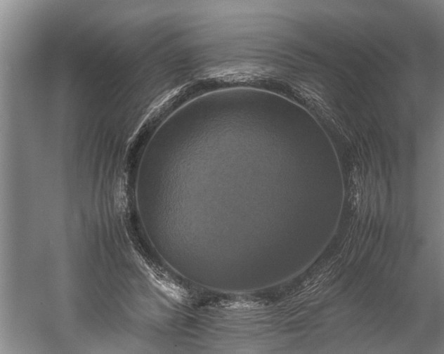 X0000059780400200510281552