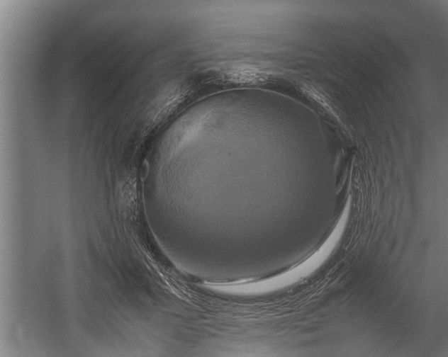 X0000059780407200510281551