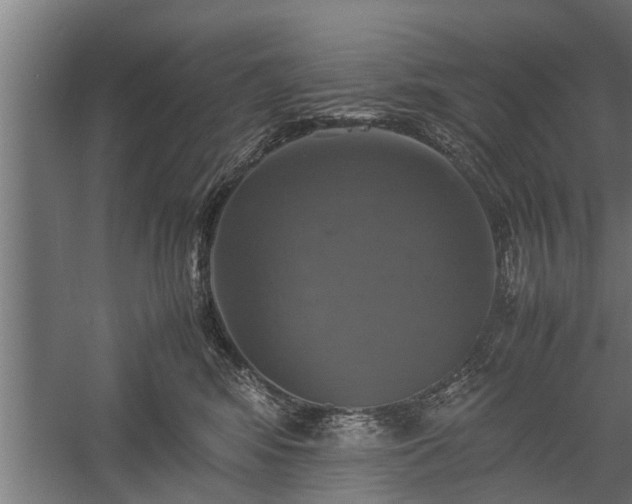X0000059780424200510281551