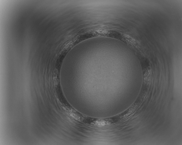 X0000059780464200510281551