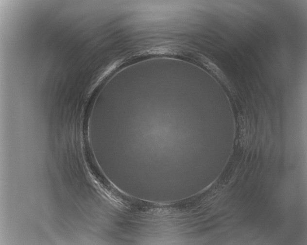 X0000059780482200510281550