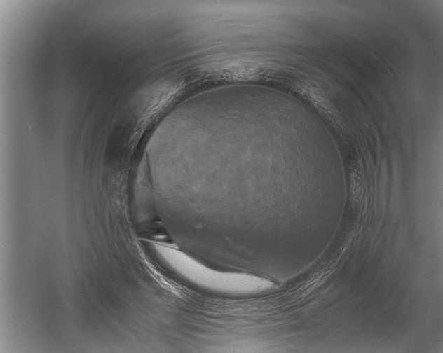 X0000059780493200510281550