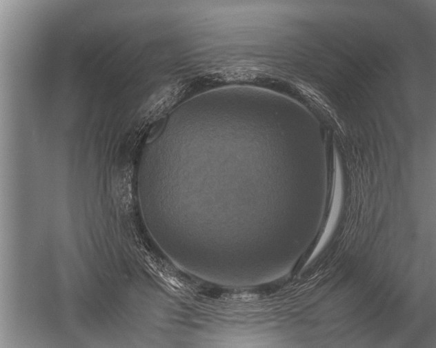 X0000059780501200510281550