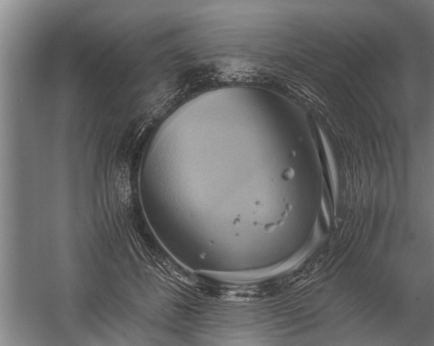 X0000059780508200510281550