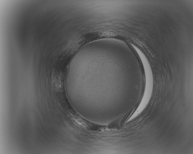 X0000059780517200510281550