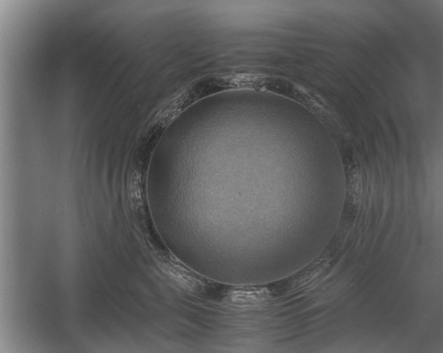 X0000059780571200510281549