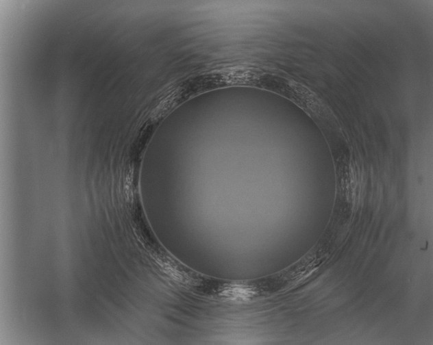X0000059780610200510281548