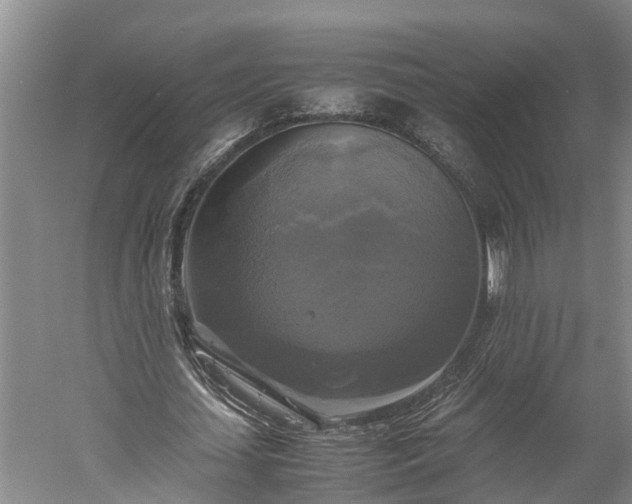 X0000059780627200510281547