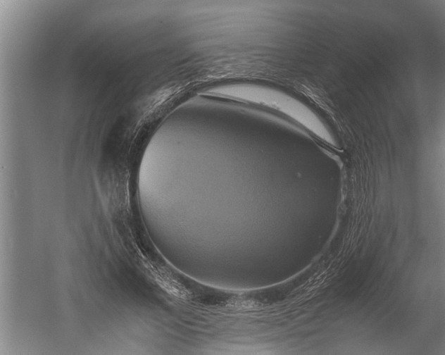 X0000059780685200510281547