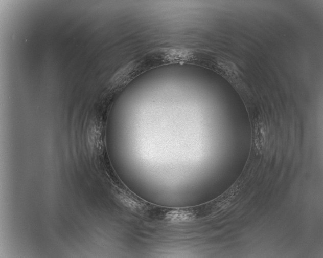X0000059780714200510281546