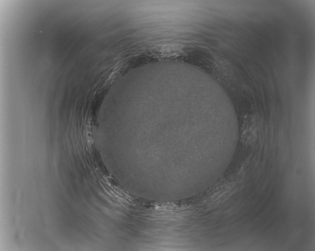 X0000059780866200510281544