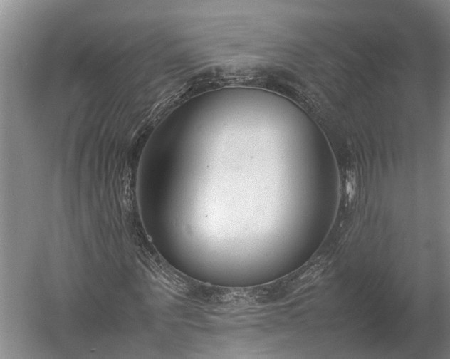 X0000059780867200510281544