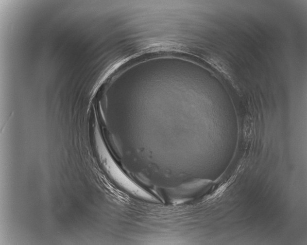 X0000059780877200510281543