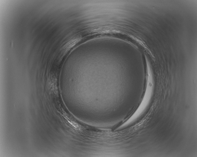 X0000059780881200510281543