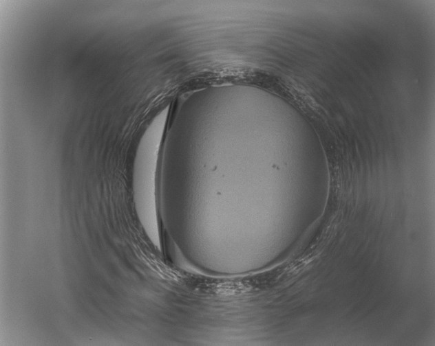 X0000059780916200510281542