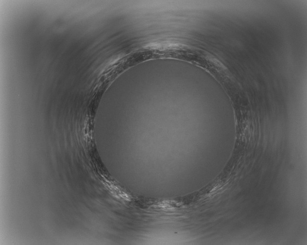 X0000059780966200510281542