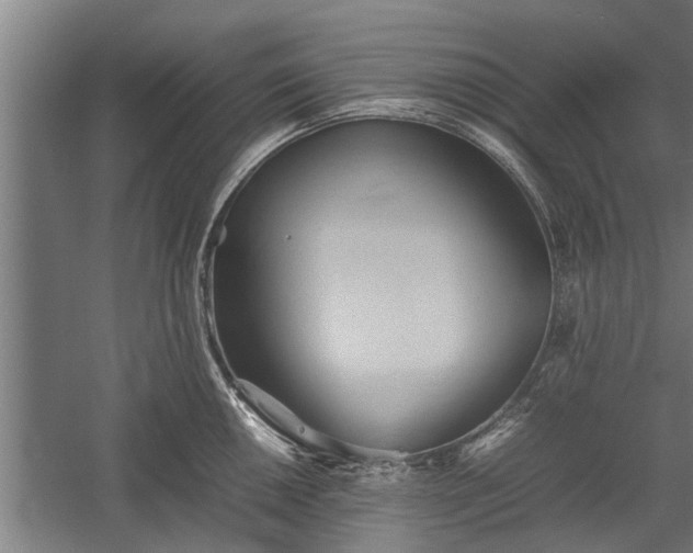 X0000059781050200510281541