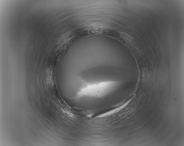 X0000059781060200510281540