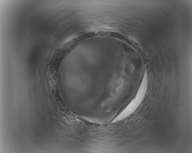 X0000059781063200510281540