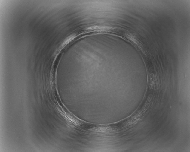 X0000059781074200510281540