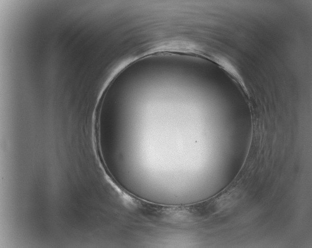 X0000059781103200510281540