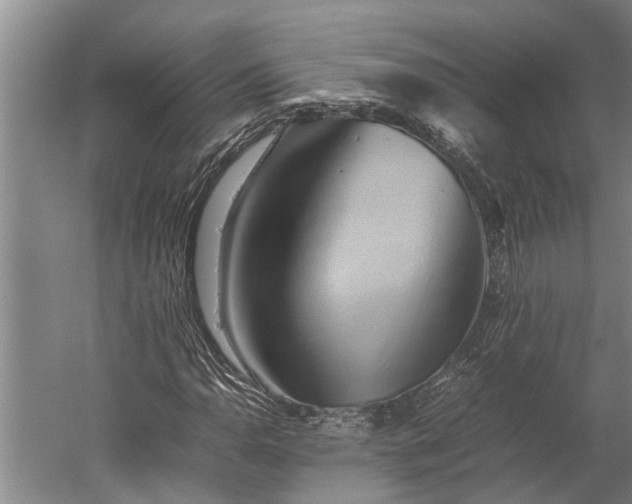 X0000059781110200510281539