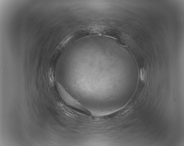 X0000059781155200510281539
