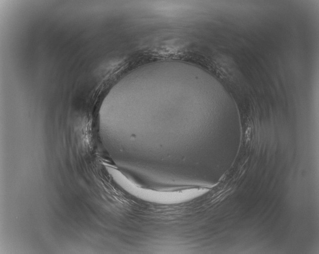 X0000059781156200510281539